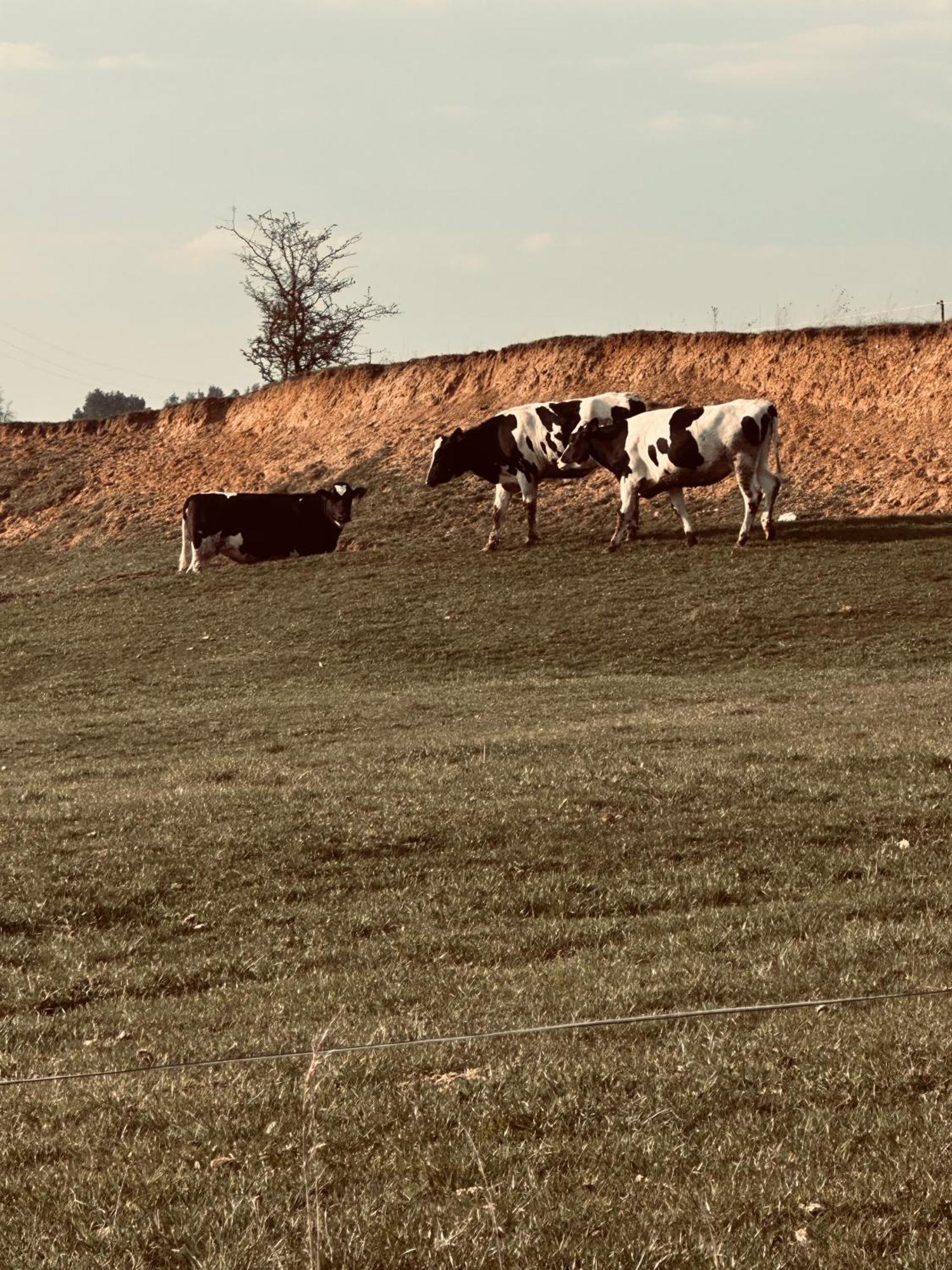 Appartamento Swiat Jezior Mikołajki Esterno foto